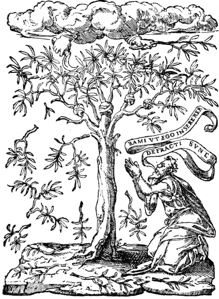 What may cause congress to break down picture